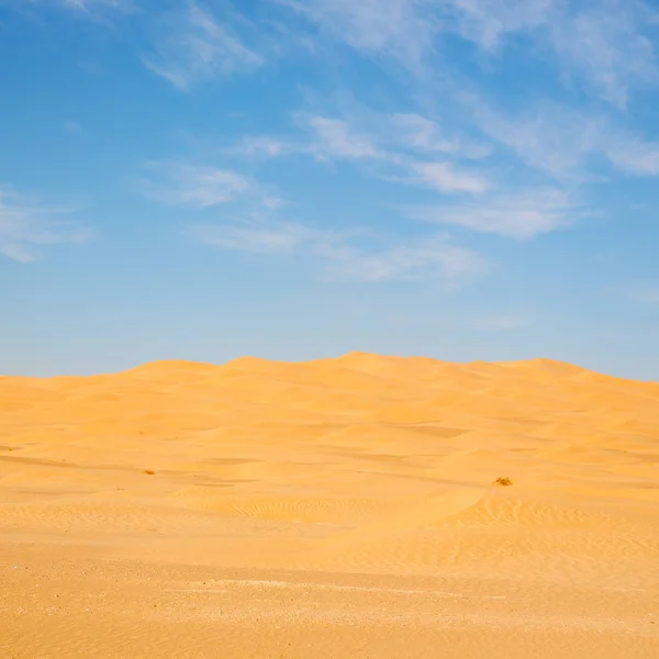 En oman viejo desierto frotar al khali el cuarto vacío y al aire libre —  Fotos de Stock