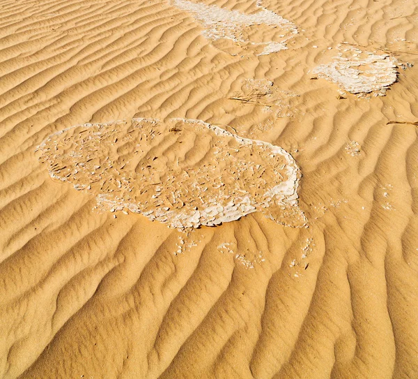 In oman old desert  rub al khali the empty  quarter and outdoor — Stock Photo, Image