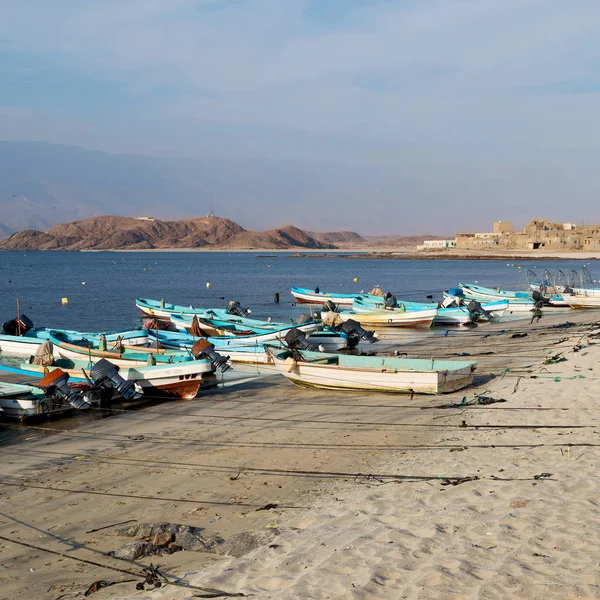 Zeemeeuw Buurt Van Oceaan Oman Boot Kustlijn — Stockfoto