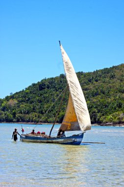 pirogue yosun Hint 