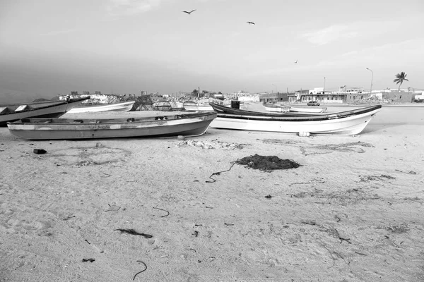 En oman boat en la costa y gaviota cerca del océano —  Fotos de Stock