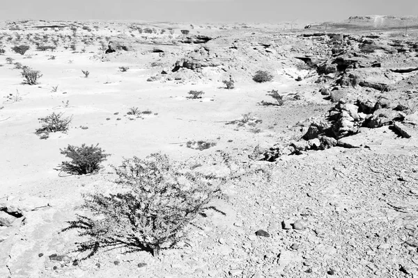 In oude woestijn van oman — Stockfoto
