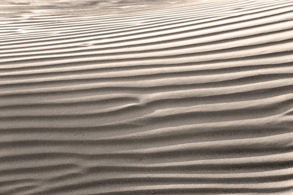 In oman the old desert and the empty quarter abstract  texture l — Stock Photo, Image