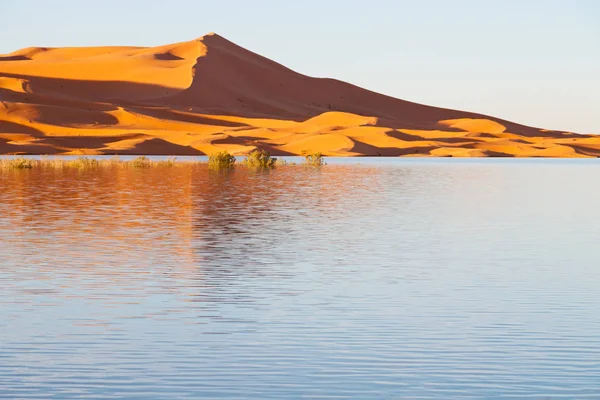 Sunshine in the lake yellow  desert of morocco sand and     dune — Stock Photo, Image