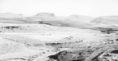   Güney Afrika'da kara çalı ve ağaç 