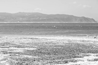   Güney Afrika gökyüzü okyanus yedek olarak  