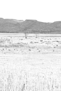  Güney Afrika ıssızlık vadisinde  