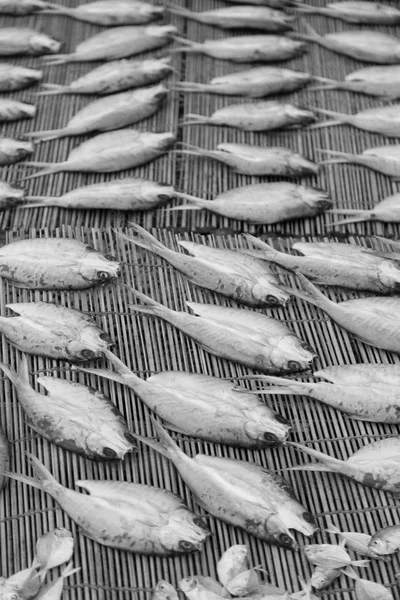 Veel vis gezouten en drogen van de voorbereiding op de markt — Stockfoto