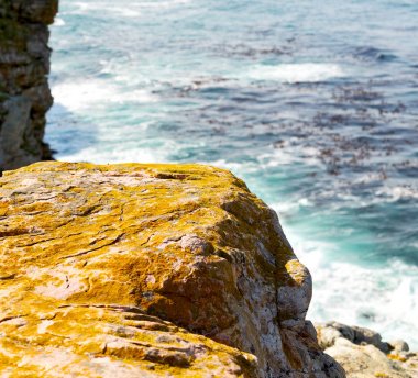  Güney Afrika kıyı şeridi ve doğal park rezerv