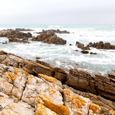 Güney Afrika beach geçit Hint Okyanusu yakınlarındaki