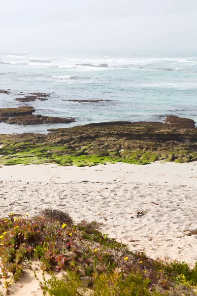 En Sudáfrica pasarela de la playa cerca del océano Índico — Foto de Stock