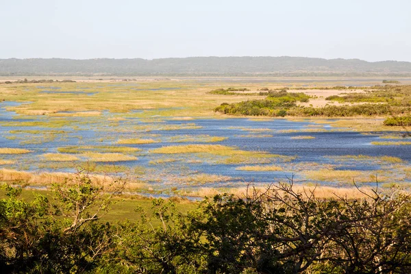 En Afrique du Sud étang lac réserve naturelle et buisson — Photo