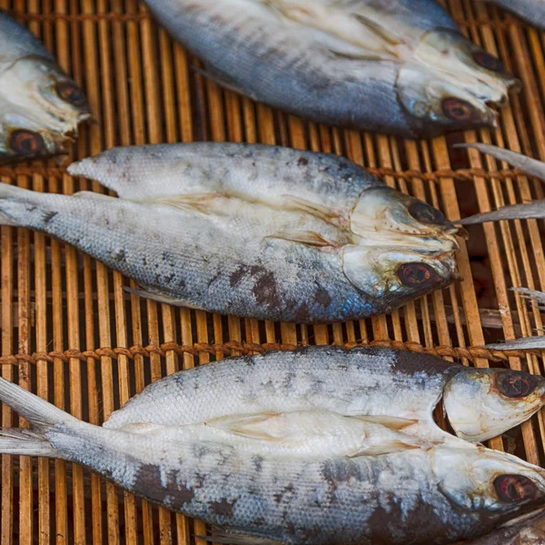 Un sacco di pesce salato e secco preparazione per il mercato — Foto Stock