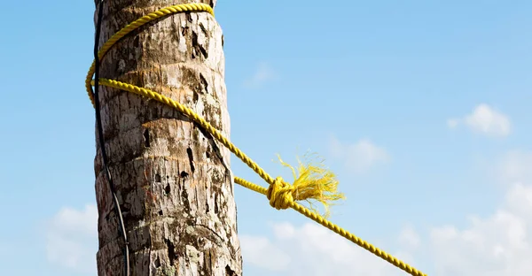 Una corda da un'amaca vicino alla riva dell'oceano — Foto Stock