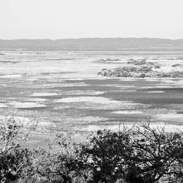 Güney Afrika su birikintisi Gölü tabiatı ve bush — Stok fotoğraf