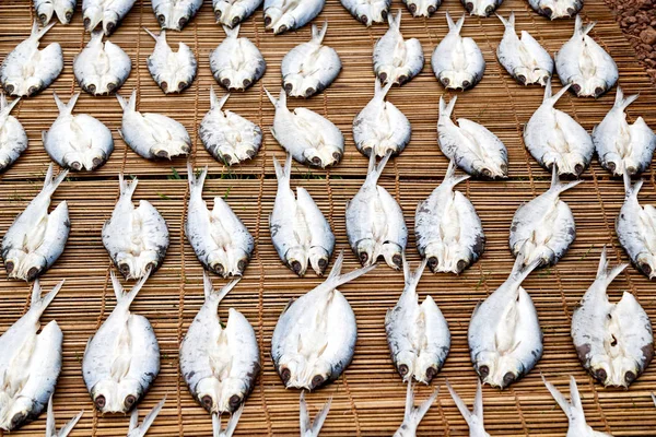 Veel vis gezouten en drogen van de voorbereiding op de markt — Stockfoto