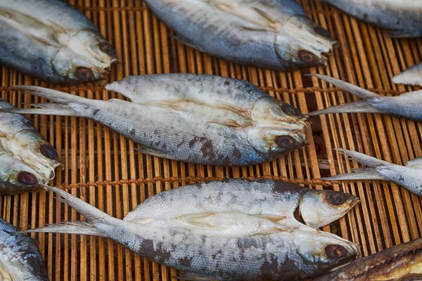 Mnóstwo ryb solonych i suchej przygotowania do rynku — Zdjęcie stockowe