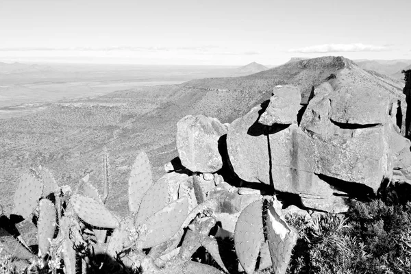 I Sydafrika-dalen av ödslighet — Stockfoto