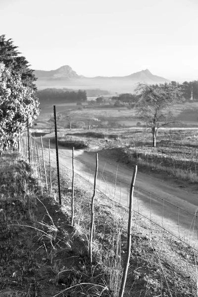 Na reserva natural de vida selvagem da Suazilândia — Fotografia de Stock