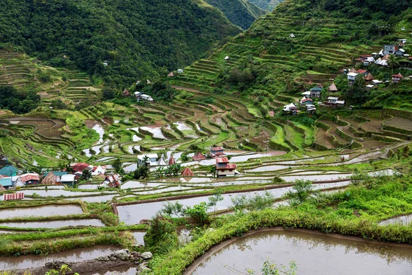 Campo de terraço para coultivação de arroz — Fotografia de Stock