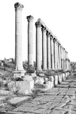  Antik Arkeolojik Sit klasik miras  