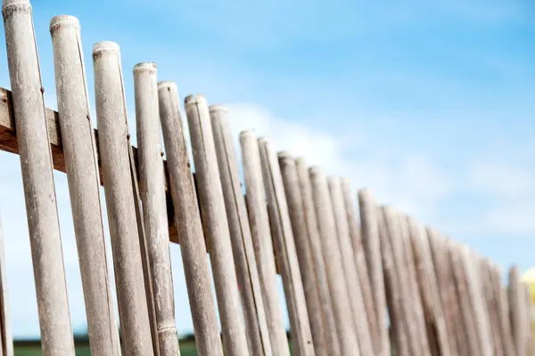 Bir bulutlu gökyüzü çok bambu stick doğal çit için — Stok fotoğraf