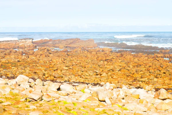 In costa sudafricana e riserva naturale del parco — Foto Stock