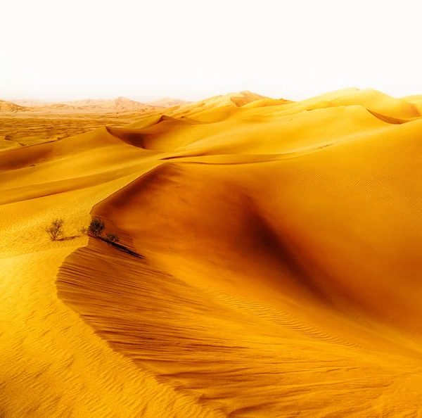 Em oman velho deserto esfregar al khali o quarto vazio e ao ar livre — Fotografia de Stock