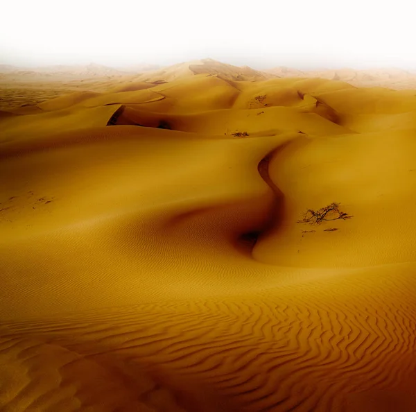 In oman old desert  rub al khali the empty  quarter and outdoor — Stock Photo, Image