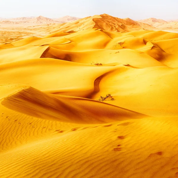 Em oman velho deserto esfregar al khali o quarto vazio e ao ar livre — Fotografia de Stock