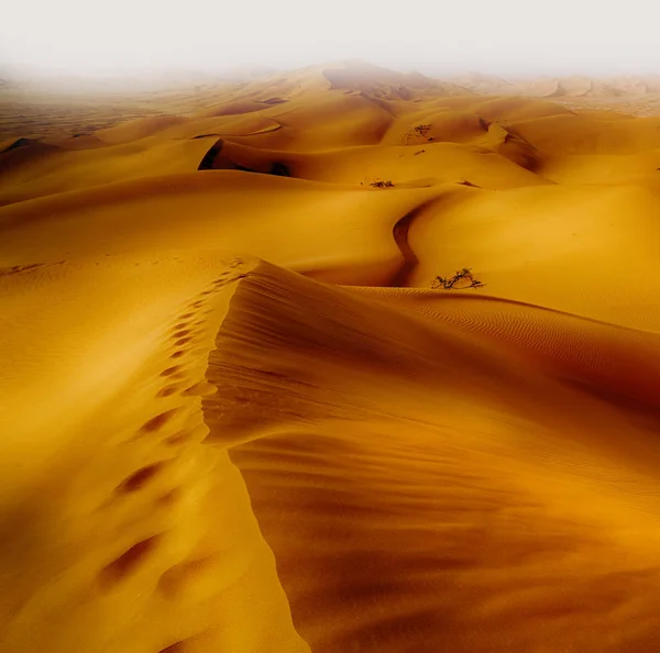 In oman alten Wüste rub al khali das leere Viertel und im Freien — Stockfoto