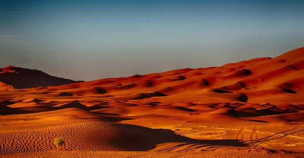 En el viejo desierto de Omán — Foto de Stock
