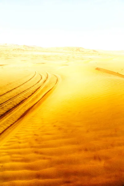 Dans le vieux désert oman — Photo