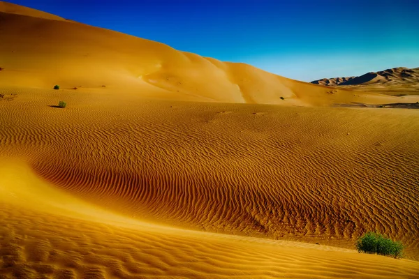 En oman viejo desierto frotar al khali el cuarto vacío y al aire libre — Foto de Stock