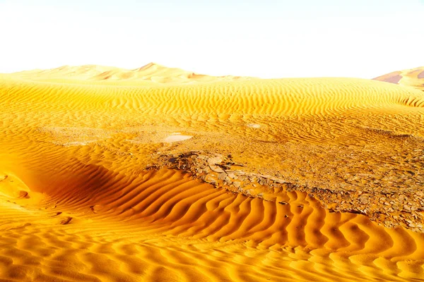 En oman viejo desierto frotar al khali el cuarto vacío y al aire libre —  Fotos de Stock