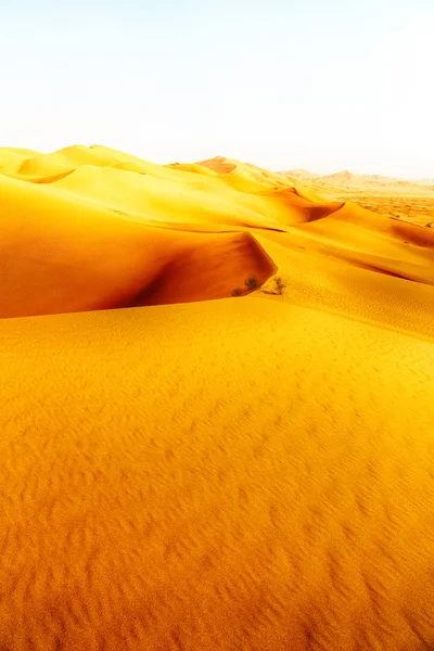 In oman alten Wüste rub al khali das leere Viertel und im Freien — Stockfoto