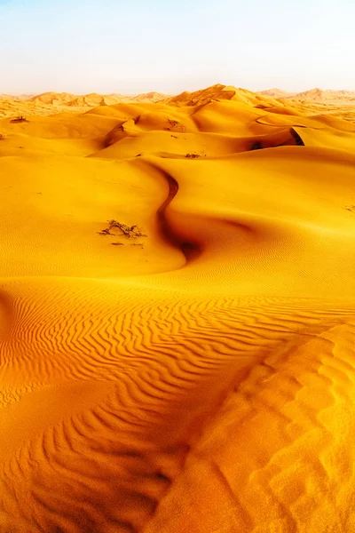 Dans oman vieux désert frotter al khali le quartier vide et extérieur s — Photo