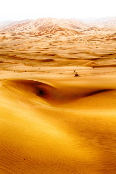 En oman viejo desierto frotar al khali el cuarto vacío y al aire libre — Foto de Stock