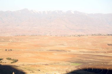   Güney Afrika'da kara çalı ve ağaç 