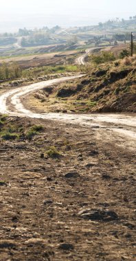   Güney Afrika'da kara çalı ve ağaç 