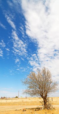 bitki ve ağaç Milli Parkı içinde 