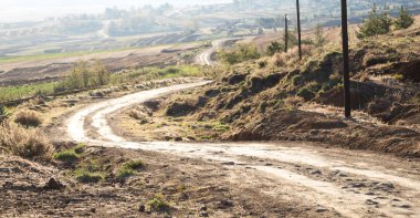   Güney Afrika'da kara çalı ve ağaç 