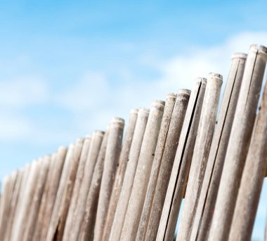 bir bulutlu gökyüzü çok bambu stick doğal çit için