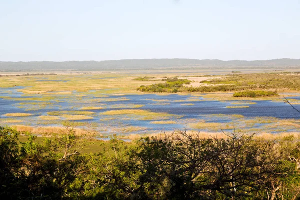 Güney Afrika su birikintisi Gölü tabiatı ve bush — Stok fotoğraf