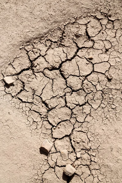 in the desert the dry ground