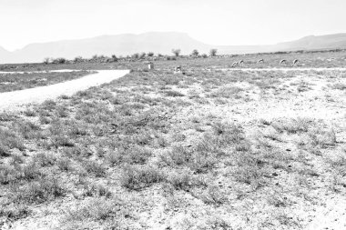  Güney Afrika ıssızlık vadisinde  