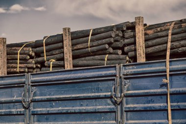  Güney Afrika kamyonda ahşaptan tam