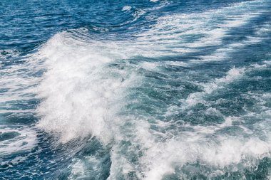 Pasifik Okyanusu arka plan bulanıklık 