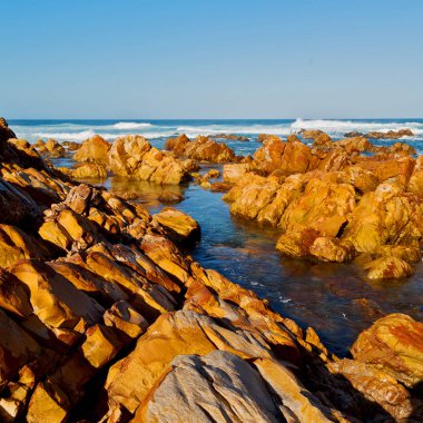   Güney Afrika gökyüzü okyanus yedek olarak  