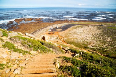   Güney Afrika kıyı şeridi ve doğal park rezerv